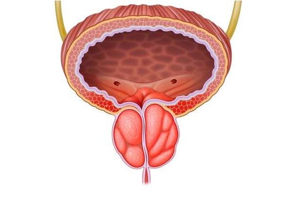 behandling av prostatit hos män